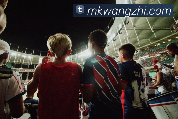 多媒体互动体验